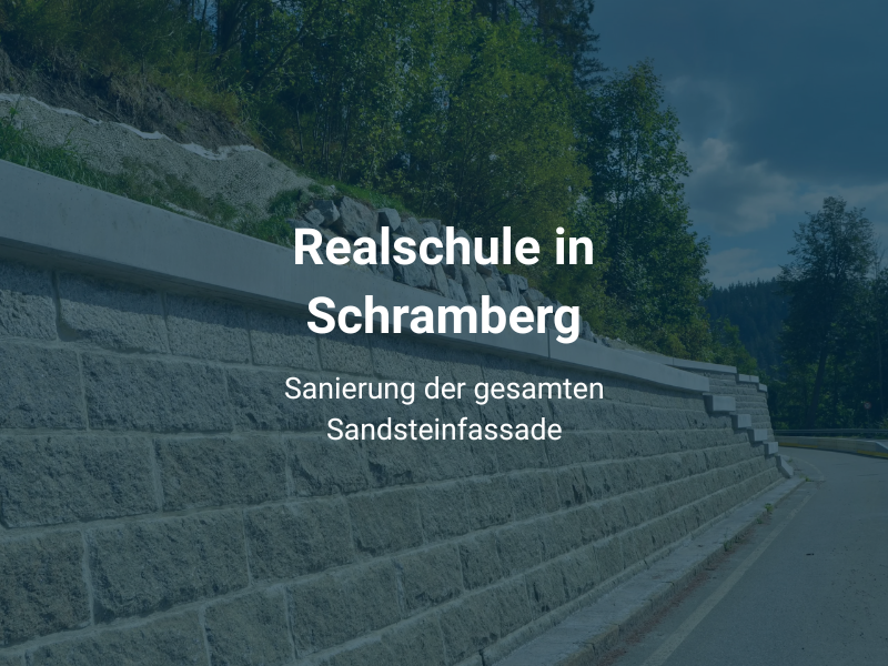 Referenz Realschule in Schramberg
