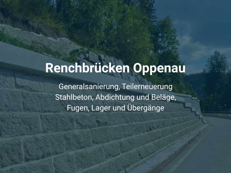 Referenz Renchbrücken Oppenau